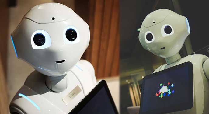 What Is a Social Robot?