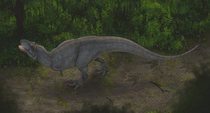 Artists reconstruction of a tyrannosaur